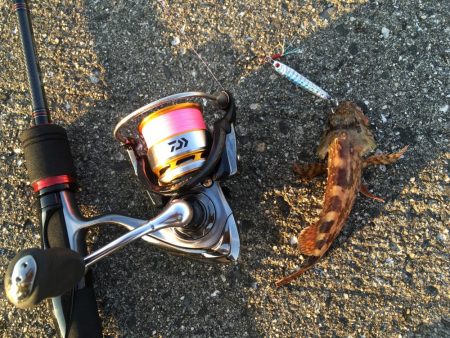 夕マヅメライトゲーム